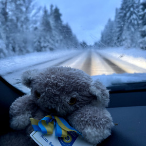 Snöyra på vägen, halt och isigt men vi kör bara